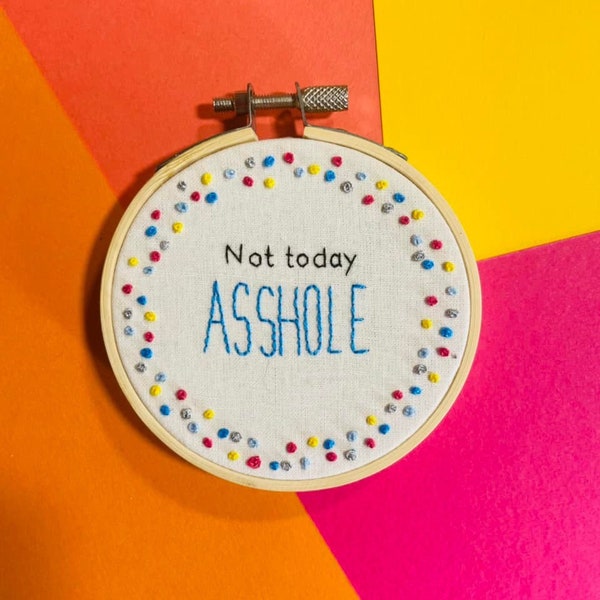 Hand Embroidery Swear Hoop Art 'Not today asshole' Rude Gift Funny Wall Art Profanity MADE TO ORDER