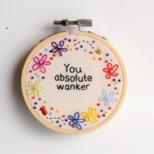 Hand Embroidery Hoop Art 'You absolute wanker' Swearing Insult Rude Gift Funny Wall Art Profanity