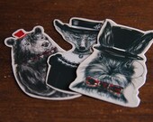 Woodland creature, animal portraits