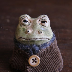 Sir Charles the Frog image 1