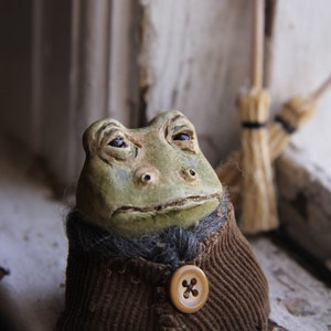 Sir Charles the Frog image 5