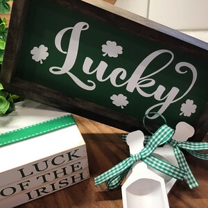 St. Patricks Day Sign | LUCKY Mini Sign | Sign Tier Tray | Tiered Tray | St Patricks Day Decor | Framed Sign | Oblong Framed Sign