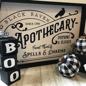 May include: Black and white wooden blocks spelling "BOO" with a sign that reads "Black Raven Apothecary - Finest Quality Spells & Charms - Potions & Elixirs" and black and white checkered pumpkins.