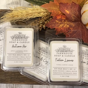 Fall / Autumn Fragrance Soy Wax Melts  | Wax Melts | Hand Poured Wax Melts  Flameless Candle | Phthalate Free | Non Toxic Candle Melt