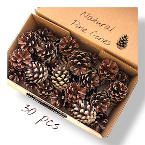Könnte beinhalten: Ein Pappkarton gefüllt mit zahlreichen braunen Kiefernzapfen. Die Innenseite des Deckels ist mit dem Text Natural Pine Cones und einer kleinen Kiefernzapfen-Illustration bedruckt, in der unteren Ecke steht der Text 30 pcs in brauner Schrift.