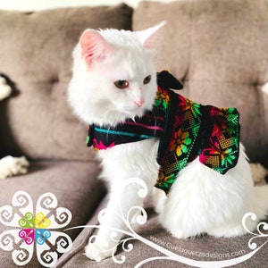 May include: A white cat wearing a colorful Mexican-style vest with black, red, green, yellow, and blue embroidery. The vest has a floral pattern and is worn over a black and turquoise striped collar.