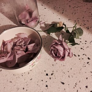 Lavender Rose bloom and petals in a bowl and in a glass bottle