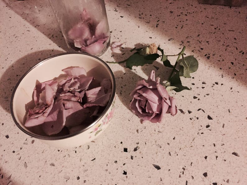 Lavender Rose bloom and petals in a bowl and in a glass bottle