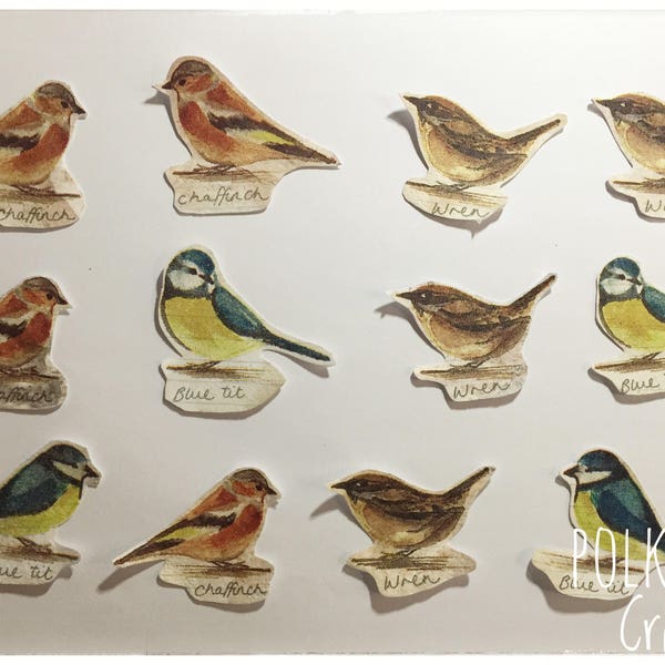 Nature Journal Ephemera, British Bird Ephemera, Junk Journal, Garden Birds, Cottage Chic, British Bird Cut Outs, Vintage Botanical, Floral