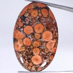 Orbicular Jasper Gemstone Cabs/ Red Jasper Cabochon/ Oval Shape Jasper Stone/ Natural Loose Gemstone