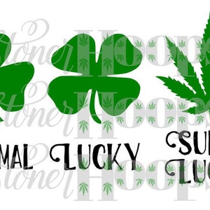 May include: A graphic design featuring three green four-leaf clovers and a green marijuana leaf. The text reads "Normal Lucky Super Lucky".