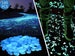 100 Glow in the Dark Pebbles Garden Pebbles Centerpieces Fillers Pebbles Walkways Deco Blue Patio Plants Dinner Party 