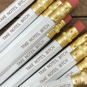 Engraved Sarcastic Pencils: &quot;Take Notes Bitch&quot; - Funny Gift