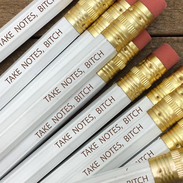 Take Notes Bitch, Bitchy Pencils, Sarcastic Pencils, Bitchy Pencil Set, Mature Pencils, Bitch Pencil Set, Engraved Pencils