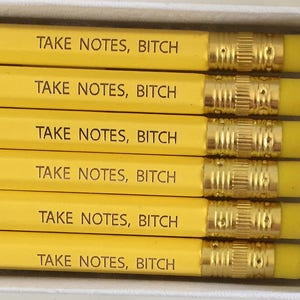 Engraved Sarcastic Pencils: &quot;Take Notes Bitch&quot; - Witty Gift Set