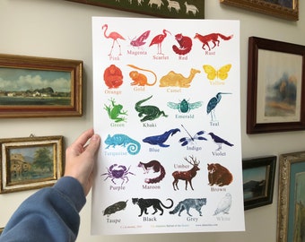 May include: A colorful alphabet chart featuring animals and their corresponding colors. The chart is printed on white paper and includes the letters A through Z. The animals are illustrated in a whimsical style and are arranged in a rainbow pattern.