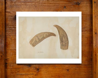 Bandera antigua con diente de ballena Liberty Scrimshaw, impresión de archivo 11x14 Acuarela Hecho en EE. UU. Diseño americano Decoración de pared Arte popular WPA Náutico