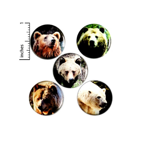 Bear Buttons or Fridge Magnets // 5 Pack // Cool Nature Pins // Bears // Badges // Backpack Pins // Lapel Pins // Gift Set // 1" SP2-2