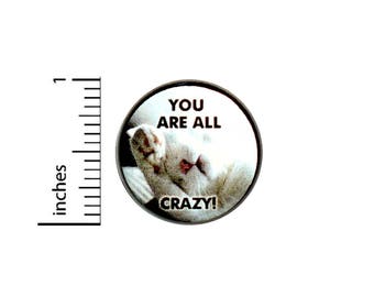 Funny Cute Cat Button You Are All Crazy Pin Kitten Jacket Pinback 1 Inch Gift #40-1