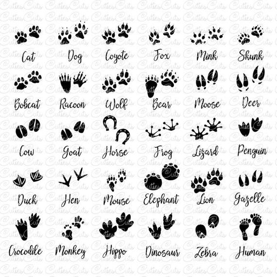 Download Footprints Silhouettes Svg paws animals Dxf Png Eps files vector paw animal clipart footprint ...
