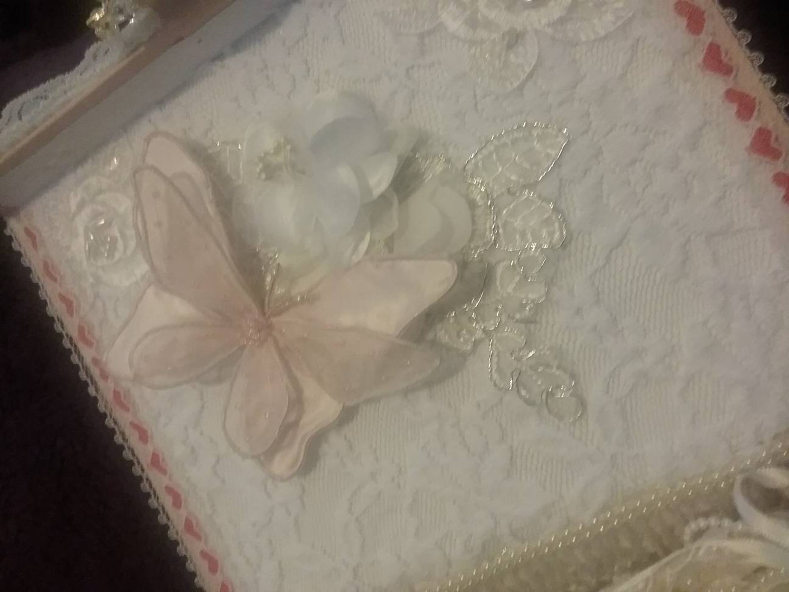 ballet shoes, lace shoes, lace ballet shoes, bloche shoes, on pointe shoes, decorated shoes, shoes in a box, dance shoes