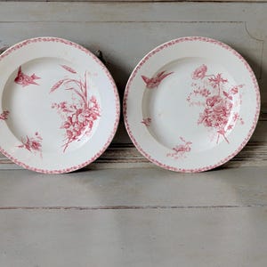 Peut inclure: Deux assiettes en céramique blanche avec un motif floral rose et un oiseau rose. Les assiettes ont un bord festonné.