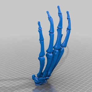 Over 30 Human Anatomy Parts- 3D Printable Stl - Etsy