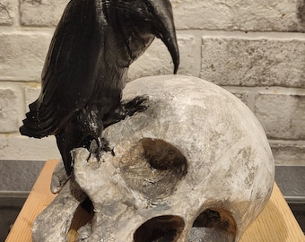 Puede incluir: Una figurita de cuervo negro posada sobre un cráneo humano pintado de blanco. El cráneo descansa sobre una base de madera.