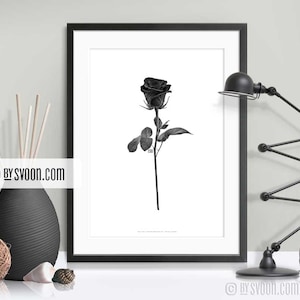 Black Rose Print, Rose Poster, Black & White, Rose Drawing, Black Flower, Artistic Style Wall Decor, Digital Art, Gift, Fashion Design, Love