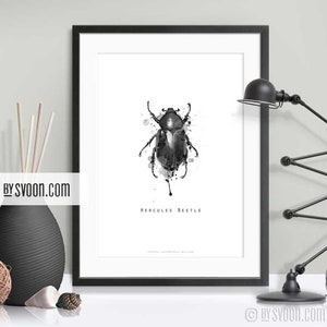 Hercules Beetle Print, Beetle Illustration, Rhinoceros Beetle Drawing, Nature Lover, Digital Drawing, Quality Print, Black & White, Wall Art