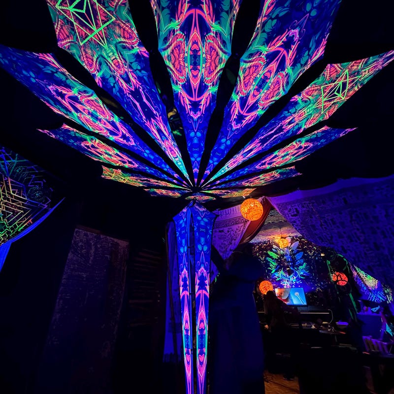Psychadelica | The Rave 1