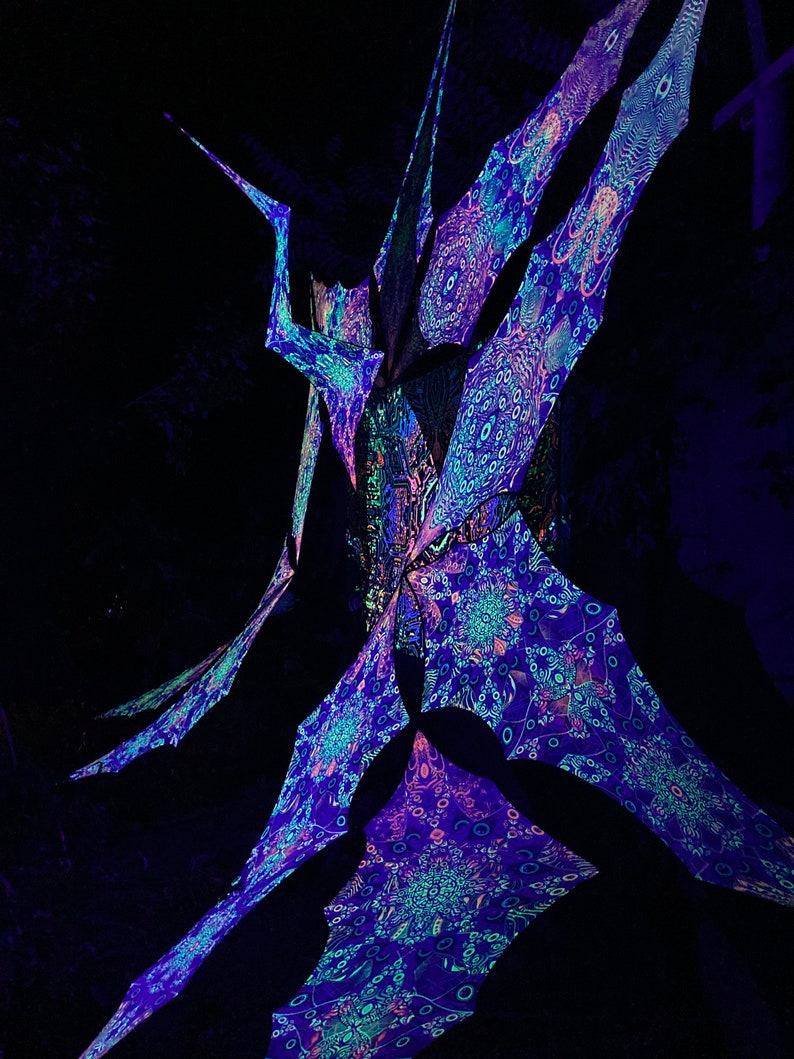 UV-reactieve psychedelische decoratie decorontwerp Sacral Portal psychedelische luifel 12 bloemblaadjes set met satijnen print afbeelding 7