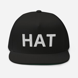 Hat for people with heads
