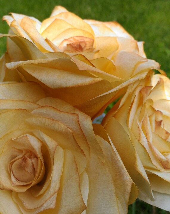 paper flowers yellow and orange paper roses wedding bouquet floral arrangement mustard flower handmade flower bouquet etsy paper flower bouquet
