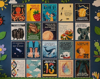 May include: A bulletin board with educational posters featuring colorful illustrations and text about science and nature. Decorative elements include a sun, ladybug, flower, and a caterpillar. The posters cover topics like bananas, the solar system, and polar bears.