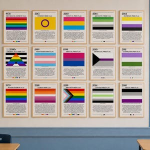 Puede incluir: Una pared de aula exhibe carteles enmarcados de varias banderas del Orgullo, incluida la bandera arcoíris original y banderas que representan diferentes identidades. Los carteles están dispuestos en filas, con cada diseño de bandera acompañado de texto. También se ve un mapa del mundo y letreros educativos.