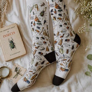 May include: White socks with a detailed insect illustration, featuring various bugs and a diagram-like layout. The socks have black heels and toes. A vintage book titled "The Observer's Book of Insects" and a magnifying glass are also visible.