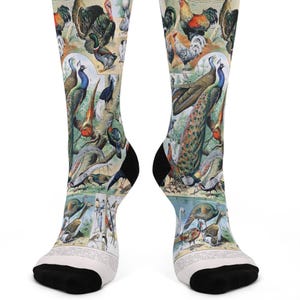 May include: A pair of knee-high socks featuring a vintage illustration of various birds, including peacocks, turkeys, and roosters. The socks have a white upper section, a black heel and toe, and a detailed, colorful avian design.