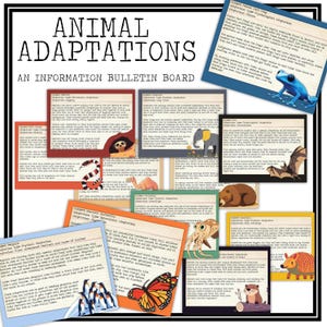Tieranpassungen Pinnwand | Wissenschaftliches Poster für Ihr Klassenzimmer | Elementare Life Science Poster Set | Geowissenschaftliche Anpassung