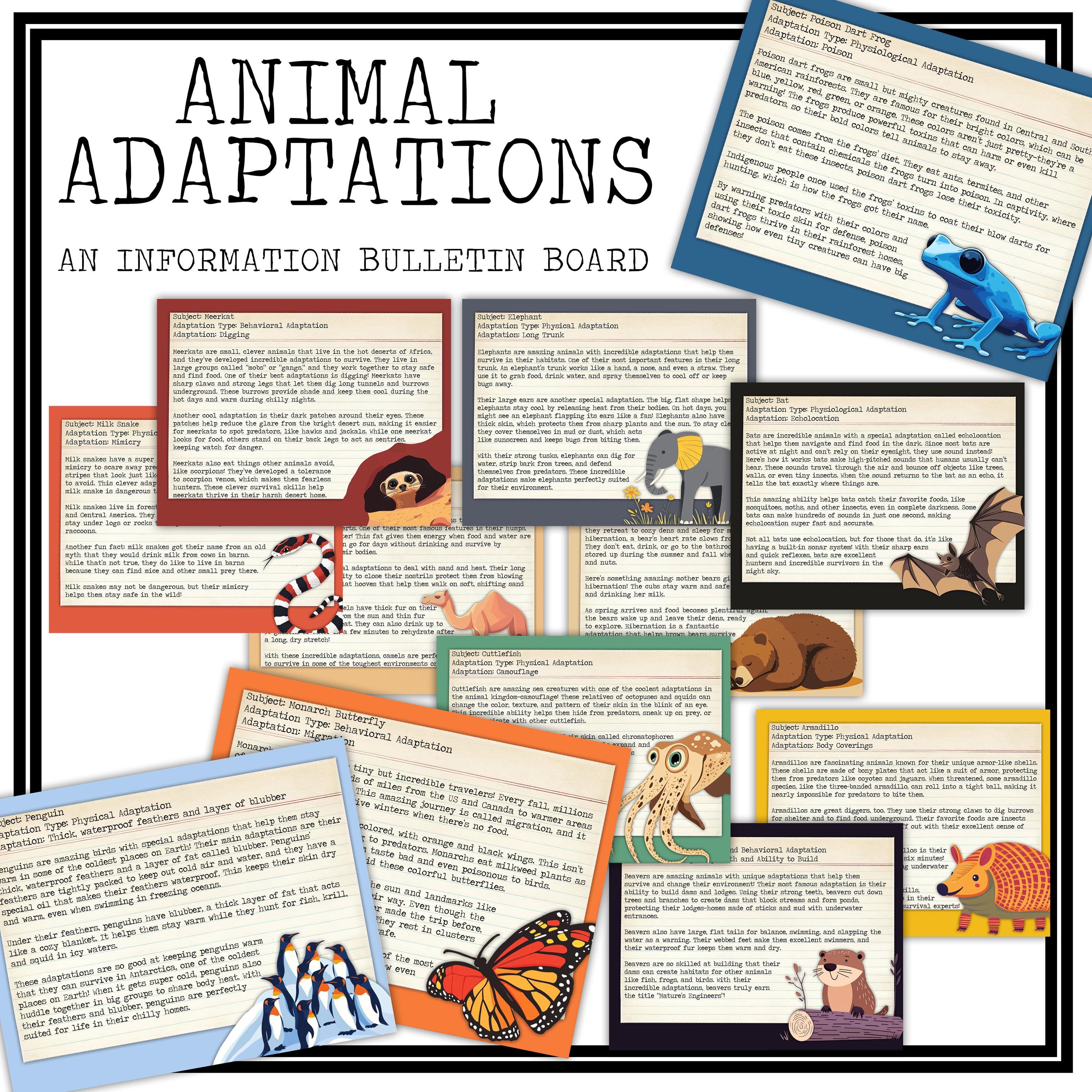 Animal Adaptations Bulletin Board | Classroom Science Decor Posters for Kids | Elementary Life Science Poster Set | Earth Science Adaptation