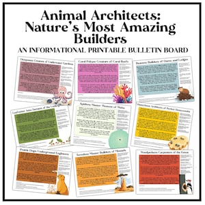 Animal Architects Bulletin Board Set | Habitat and Ecosystem Posters for Science Classrooms | Creative Nature and Science Teaching Resources