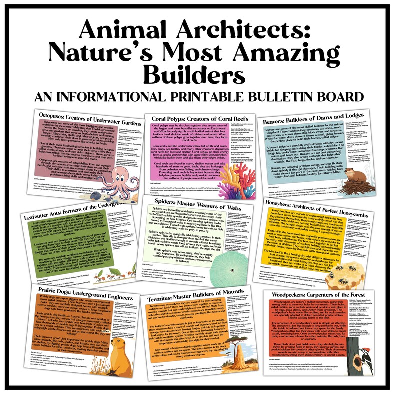 Animal Architects Bulletin Board Set | Habitat and Ecosystem Posters ...