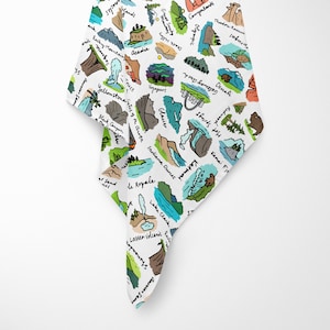 National Park Baby | National Park Nursery Baby Blanket | Swaddle Blanket Shower Gift | National Parks Baby Room, Nursing Cover, Stroller