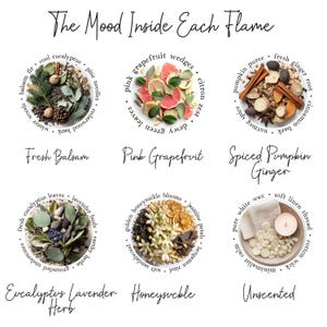 May include: The Mood Inside Each Flame chart displays six circular arrangements of ingredients. Fresh Balsam, Pink Grapefruit, Spiced Pumpkin Ginger, Eucalyptus Lavender Herb, Honeysuckle, and Unscented are labelled with their botanical components.