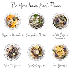 May include: A collection of six circular arrangements of botanical and food ingredients labelled The Mood Inside Each Flame. The sets include Peppered Passionfruit, Sea Salt + Orchid, White Sage + Lavender, Vanilla Bean, Comfort Spice, and Sea Breeze.