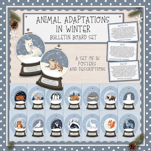 Może przedstawiać: Zestaw tablic ogłoszeniowych zatytułowany Animal Adaptations in Winter zawierający 16 plakatów. Każdy plakat przedstawia ilustrację kuli śnieżnej z innym zwierzęciem, w tym lisem polarnym i żabą leśną, wraz z kartami z opisami.