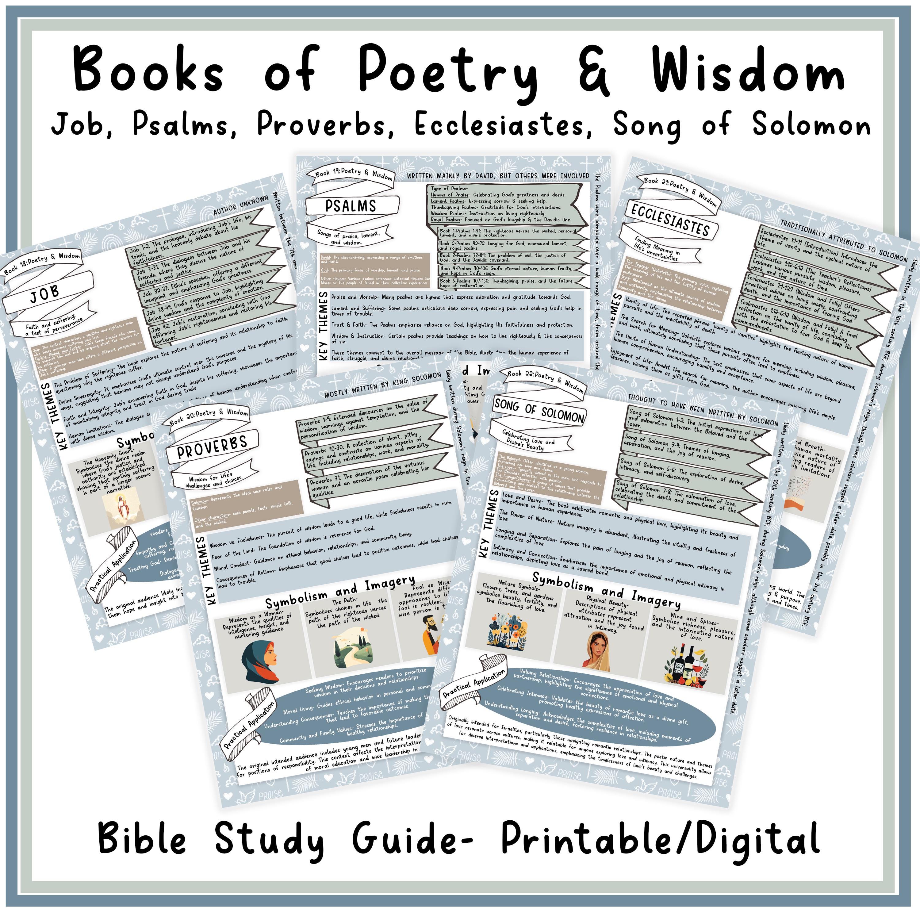 旧約聖書のメッセージ　聖書10 教師用 North Star Teacher Resources ポジティブメッセージポスター、7-1⁄3