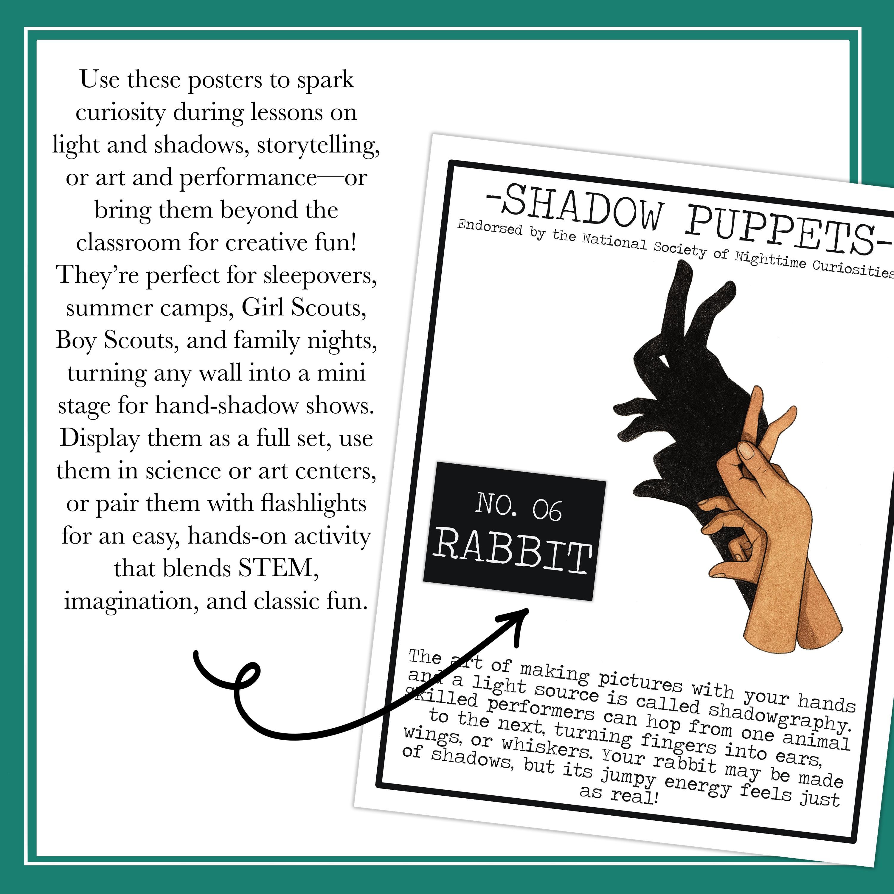 Shadow Puppet Posters | Animal Shadow Hand Puppets Bulletin Board