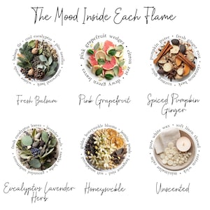May include: An image with the text "The Mood Inside Each Flame" features six circular arrangements of ingredients. These include fresh balsam, pink grapefruit, spiced pumpkin ginger, eucalyptus lavender herb, honeysuckle, and unscented.