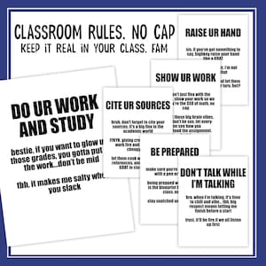 Funny Slang Classroom Posters | Drip High School Middle School Teacher Bulletin Board Poster | ELA Math Lit Science Teach | Back to School